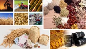 Do jaké komodity se na trhu vyplatí investovat? Rýže, pšenice nebo olej?